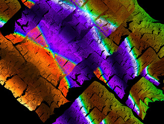 Similar image 22019184