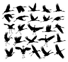 Similar image 21997403