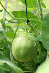 Similar image 21994648