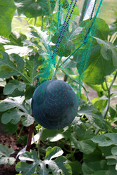 Similar image 21993813