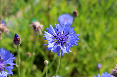 Similar image 21994649