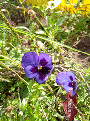 Similar image 21998058