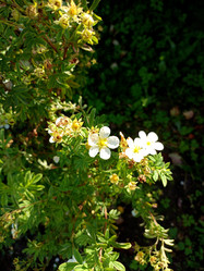 Similar image 21998060