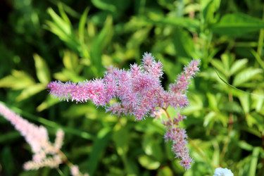 Similar image 21998061