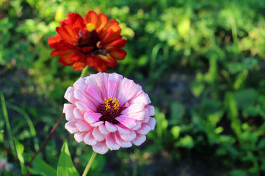 Similar image 21998063