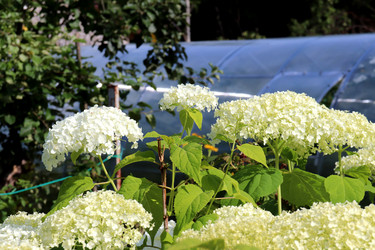 Similar image 21998065