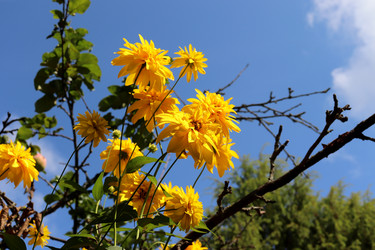 Similar image 21998067