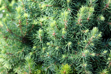 Similar image 21994650