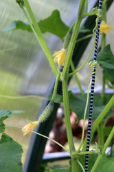 Similar image 21994653