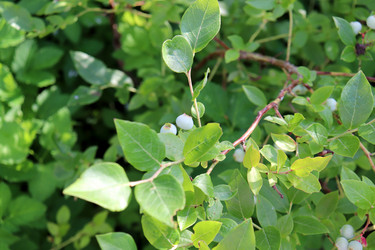 Similar image 21995853