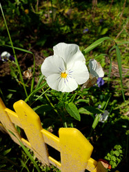 Similar image 21995855