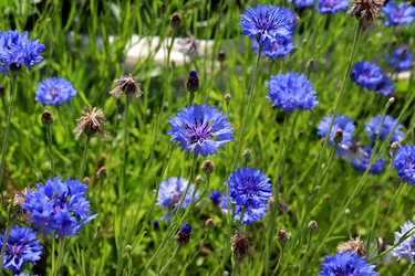 Similar image 21995857