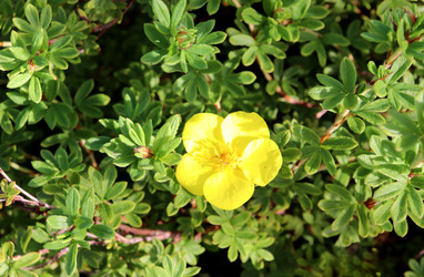 Similar image 21995859