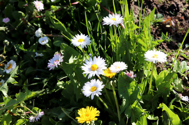 Similar image 21995860