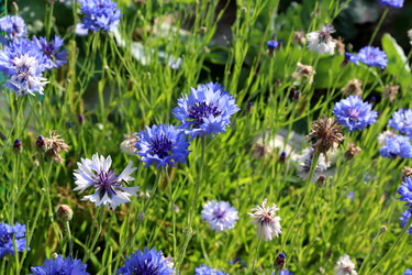 Similar image 21993815