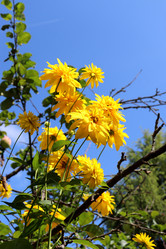 Similar image 21995861