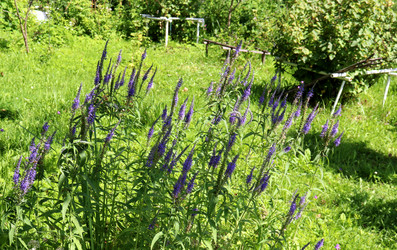 Similar image 21993834