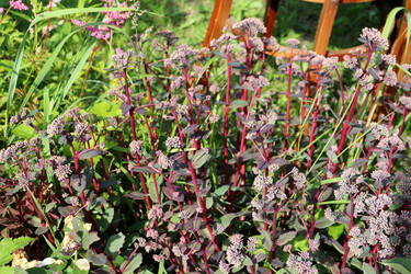 Similar image 21993836