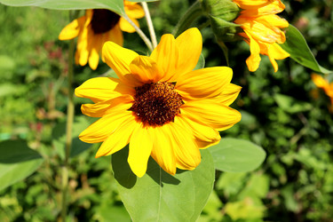 Similar image 21993837