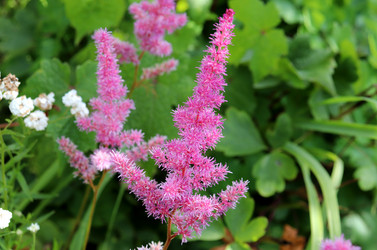 Similar image 21993839