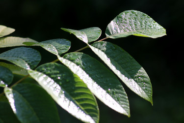 Similar image 21993840