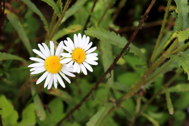 Similar image 21993841