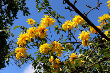 Similar image 21993842