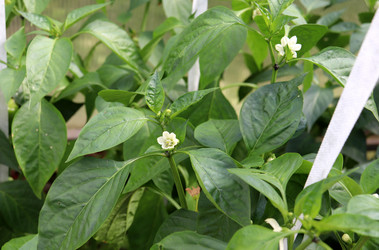 Similar image 21994656