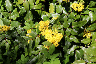 Similar image 21994658