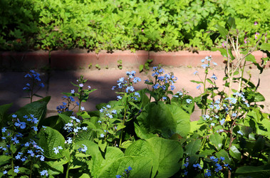 Similar image 21995862