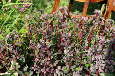 Similar image 21995863