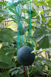 Similar image 21995864