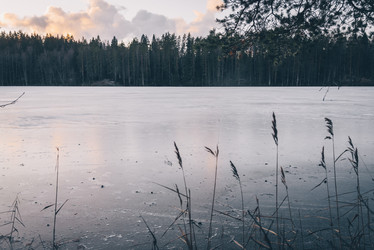 Similar image 21993736