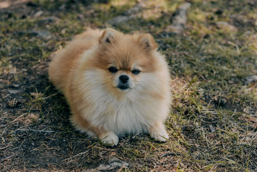 Similar image 21993738