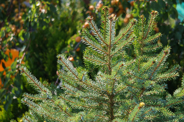 Similar image 22001871