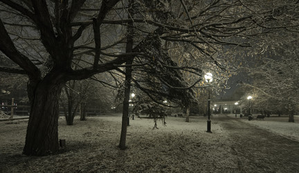 Similar image 21998071