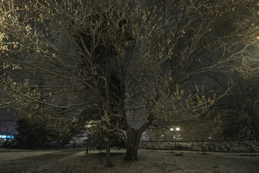 Similar image 21998072