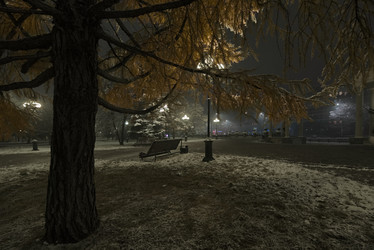 Similar image 21998073