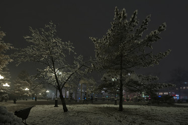 Similar image 21998074