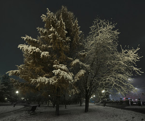 Similar image 21998075