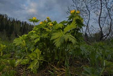 Similar image 21998077