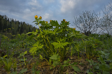 Similar image 21998078