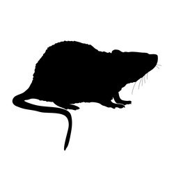 Similar image 22008164