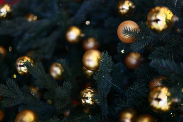 Similar image 21997944