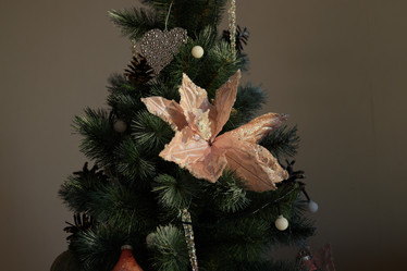 Similar image 21999009