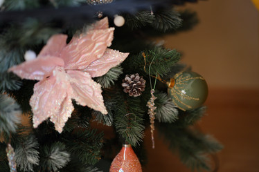 Similar image 21994496