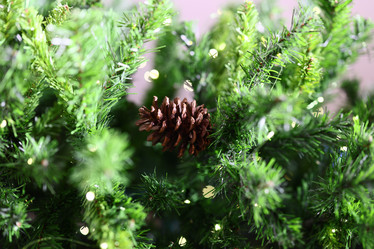 Similar image 21999093