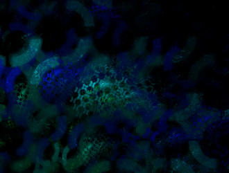 Similar image 22019787