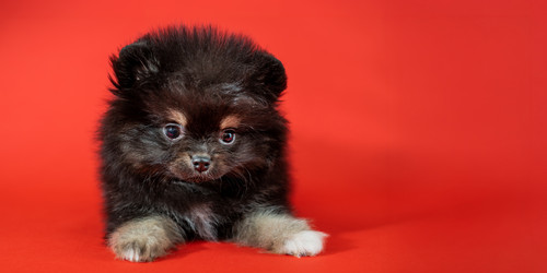 Similar image 22006156