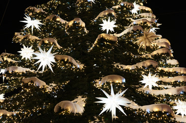 Similar image 21994518